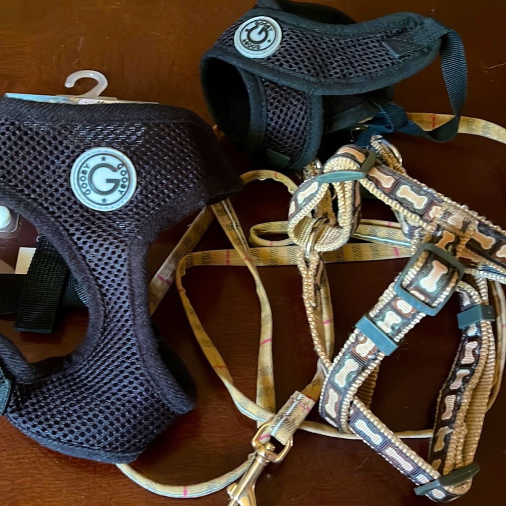 Dog Harness Bundle S/M Gooby